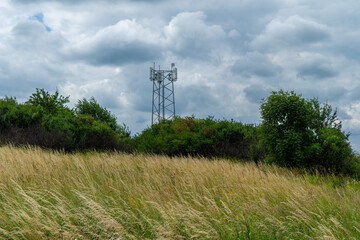łąki polskie, kwiaty polskie, niziny i wyżyny krakowskie