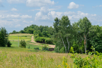 Fototapeta premium łąki polskie, kwiaty polskie, niziny i wyżyny krakowskie