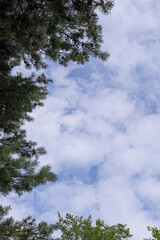 Clear Blue Sky with White Clouds – Peaceful Natural Background