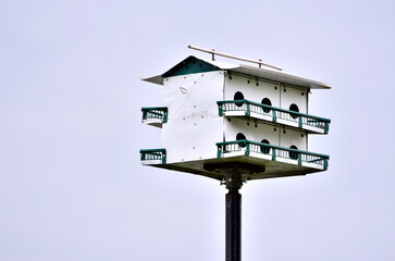 Close-up view of a white purple martin multi-nest birdhouse