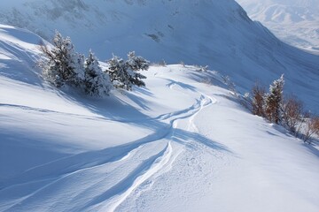 Obraz premium Snowy Mountain Ski Slope with Trees