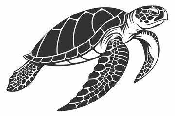 Fototapeta premium loggerhead turtle sihouette black vector
