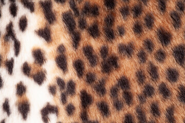 Leopard fur texture background close up