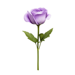 Obraz premium A single delicate lavender rose with green leaves and stem isolated on transparent background