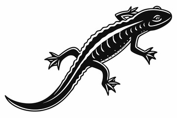 Obraz premium newt sihouette black vector