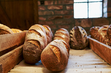 Row of bread loaves are displayed on a counter