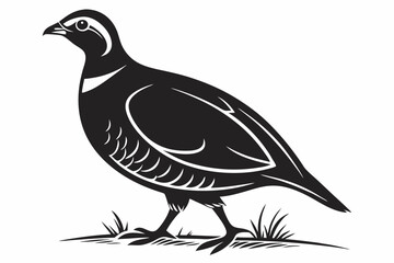 partridge silhoette black vector