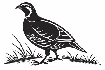 partridge silhoette black vector