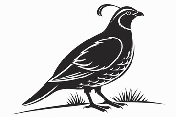 Obraz premium partridge silhoette black vector