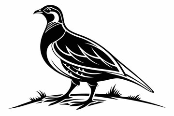 partridge silhoette black vector