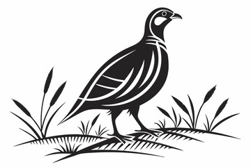 partridge silhoette black vector