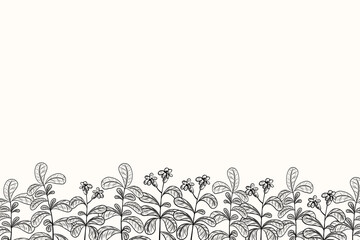 Herbal botanical banner with Stevia plant for text. Background sketch with engraved sweet branches sugar substitute. Design for label, card, logo, sign. Hand drawn Honey grass against diabetes, food