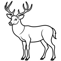 Elegant Wapiti and Vole Line Art Design