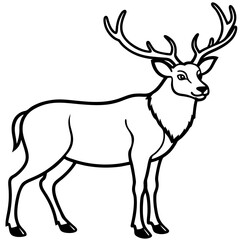 Obraz premium Elegant Wapiti and Vole Line Art Design