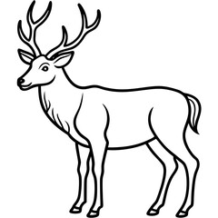 Obraz premium Elegant Wapiti and Vole Line Art Design