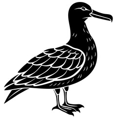 Albatross Silhouette Black Vector Design