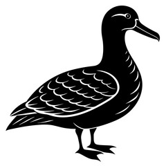 Albatross Silhouette Black Vector Design