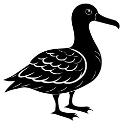 Albatross Silhouette Black Vector Design