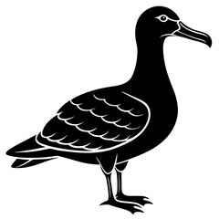 Albatross Silhouette Black Vector Design