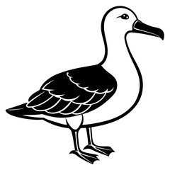Albatross Silhouette Black Vector Design