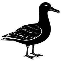 Albatross Silhouette Black Vector Design
