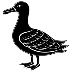 Albatross Silhouette Black Vector Design