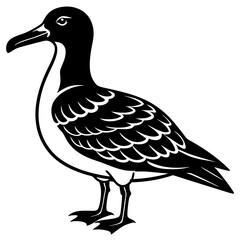 Albatross Silhouette Black Vector Design