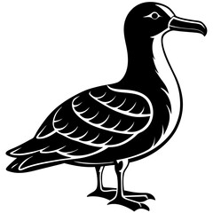Albatross Silhouette Black Vector Design