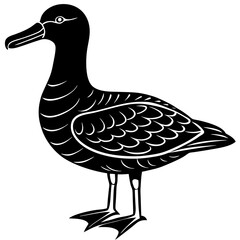 Albatross Silhouette Black Vector Design