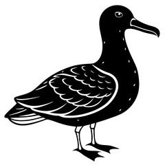 Albatross Silhouette Black Vector Design
