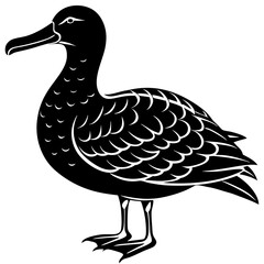 Albatross Silhouette Black Vector Design
