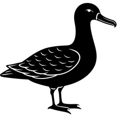 Albatross Silhouette Black Vector Design