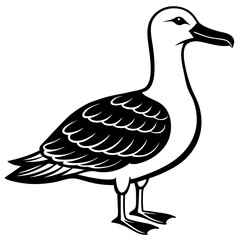 Albatross Silhouette Black Vector Design
