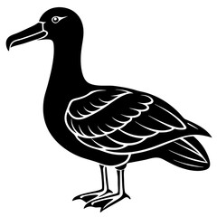 Albatross Silhouette Black Vector Design