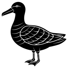Albatross Silhouette Black Vector Design