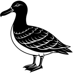Albatross Silhouette Black Vector Design