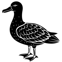 Albatross Silhouette Black Vector Design