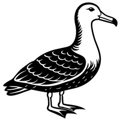 Albatross Silhouette Black Vector Design