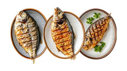Pack Collection Grilled Fish Dish Delicious Recipe Restaurant Menu Seafood Platter Culinary Photography set against transparent background