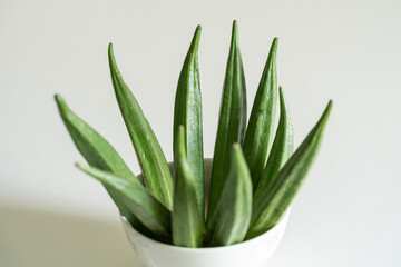 Okra. Fresh seasonal ingredient. Food photography in a bowl on white background.
