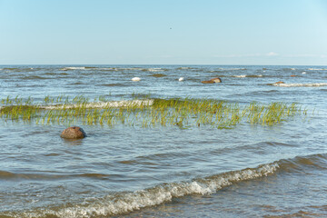 Baltic Sea Coast with Rocks