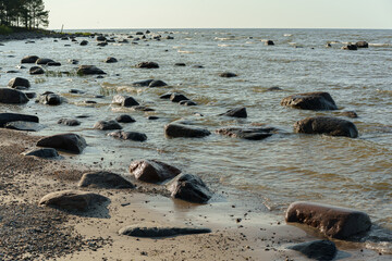 Baltic Sea Coast with Rocks