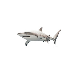 Naklejka premium A grey shark swimming in dark water a profile view
