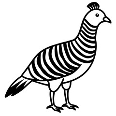 Elegant Zebra Dove Outline Vector Design