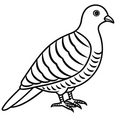 Elegant Zebra Dove Outline Vector Design