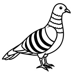 Elegant Zebra Dove Outline Vector Design