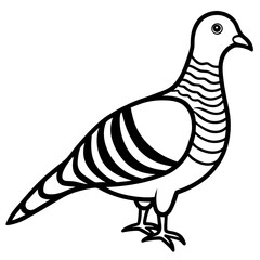 Elegant Zebra Dove Outline Vector Design