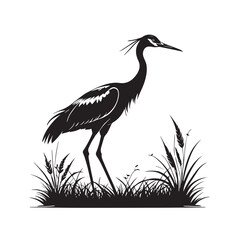 Exotic crane or heron bird 