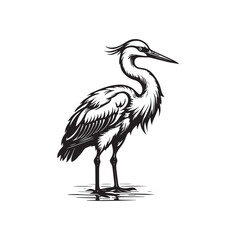 Exotic crane or heron bird 