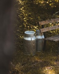 Obraz premium Vintage milk cans beside rustic bench in peaceful, green countryside setting with natural light (Alps - France)